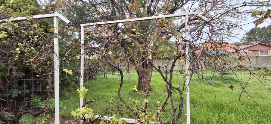 3 Bedroom Property for Sale in Pellissier Free State